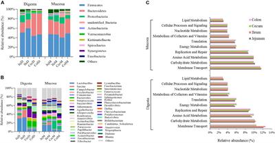 Unveiling the Biogeography and Potential Functions of the Intestinal Digesta- and Mucosa-Associated Microbiome of Donkeys